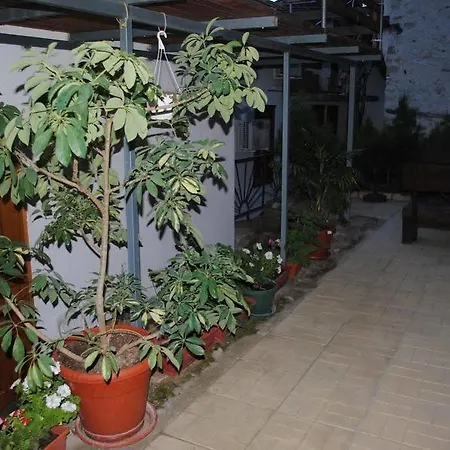 Toni's 3* メルニック